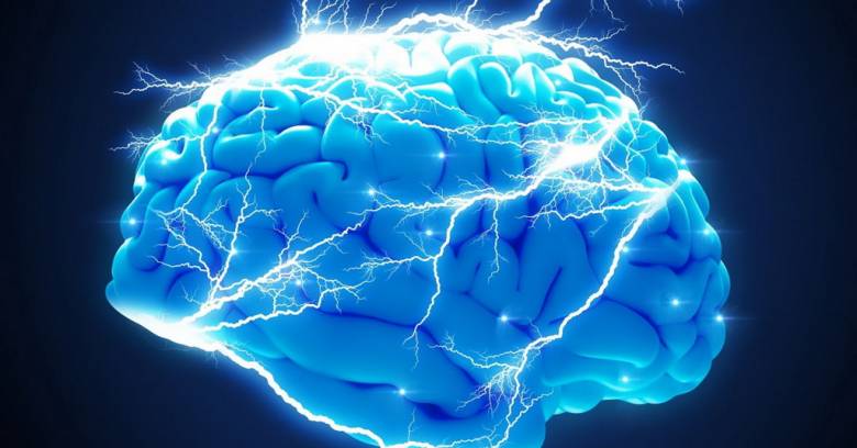 Efek Kuantum di Otak